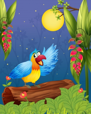 Illustration of a colorful parrot in the middle of the woodsのイラスト素材