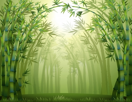 Illustration of the bamboo trees inside the forestのイラスト素材