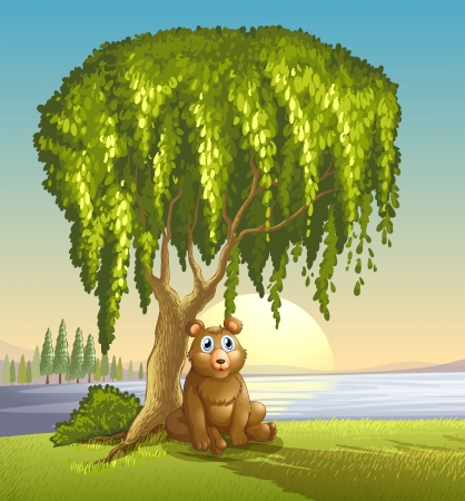 Illustration of a bear under a big treeのイラスト素材