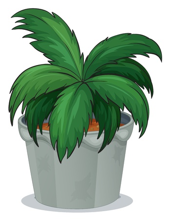 Illustration of a pot with a green leafy plant on a white backgroundのイラスト素材
