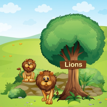 Illustration of a signboard posted in a tree and the two lionsのイラスト素材