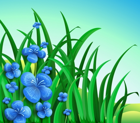 Illustration of a garden in the hill with blue flowersのイラスト素材