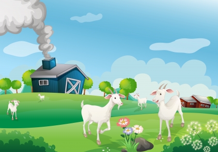 Illustration of a farm with many goatsのイラスト素材