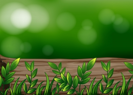 Illustration of a big trunk with plantsのイラスト素材