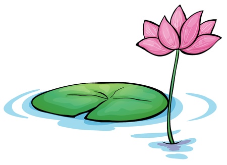 Illustration of a waterlily flower on a white backgroundのイラスト素材