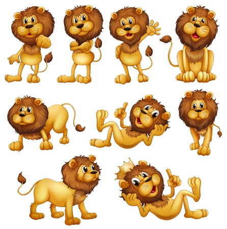 Illustrations of the lions in different positions on a white backgroundのイラスト素材