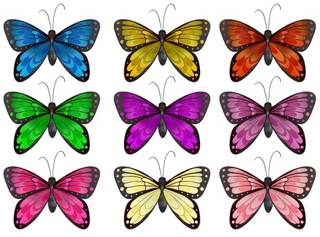 Illustration of the butterflies in different colors on a white backgroundのイラスト素材