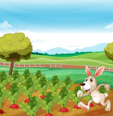 Illustration of a bunny running in the farmのイラスト素材