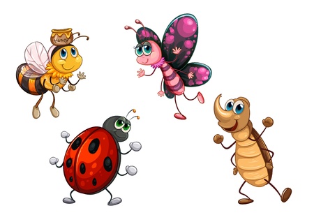 Illustration of the different kind of insects on a white background のイラスト素材