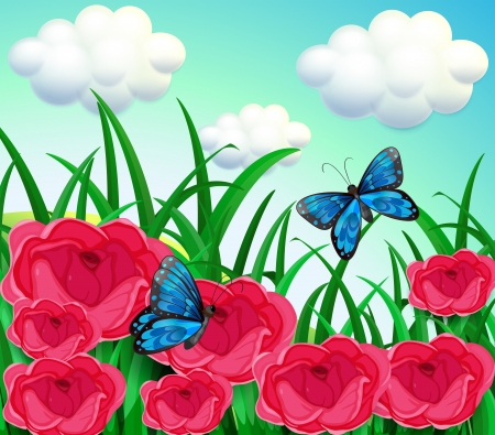 Illustration of the butterflies in the meadowのイラスト素材