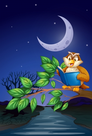 Illustration of an owl reading above a branch of a treeのイラスト素材