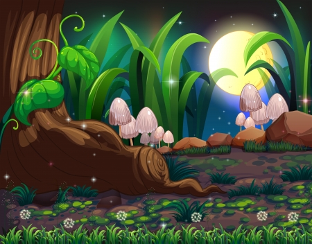Illustration of an enchanted forestのイラスト素材