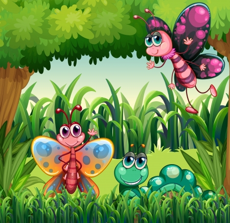 Illustration of the insects at the forestのイラスト素材