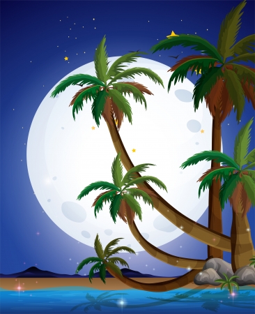 Illustration of a beach with a bright fullmoonのイラスト素材