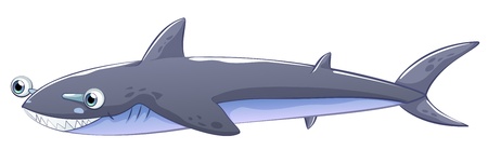 Illustration of a gray shark on a white background のイラスト素材