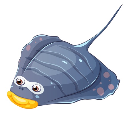 Illustration of a flat fish on a white background のイラスト素材