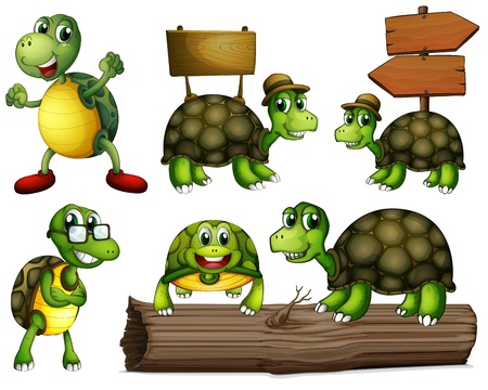Illustration of the turtles with empty signboards on a white backgroundのイラスト素材