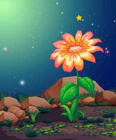 Illustration of a beautiful blooming flowerのイラスト素材