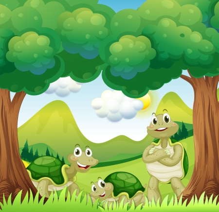 Illustration of the three turtles in the woodsのイラスト素材