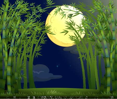 Illustration of a rainforest under the bright moonのイラスト素材