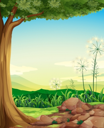 Illustration of a forest with rocksのイラスト素材