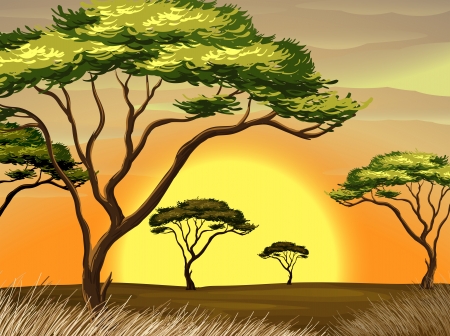 Illustration of a sunset view at the forestのイラスト素材