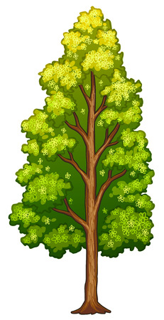 Illustration of a tree on a white backgroundのイラスト素材