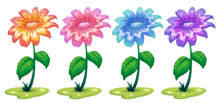 Illustration of the six colorful flowering plants on a white backgroundのイラスト素材