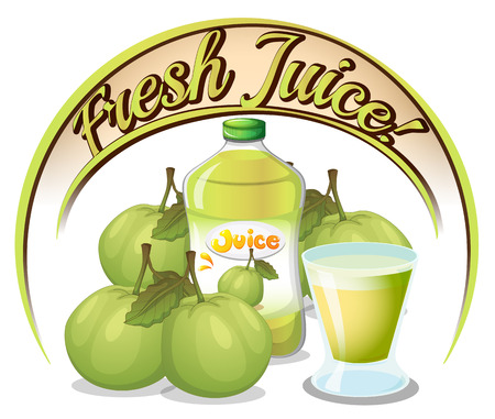Illustration of the fresh juice label with guavas on a white backgroundのイラスト素材