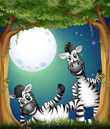 Illustration of the two zebras at the forestのイラスト素材
