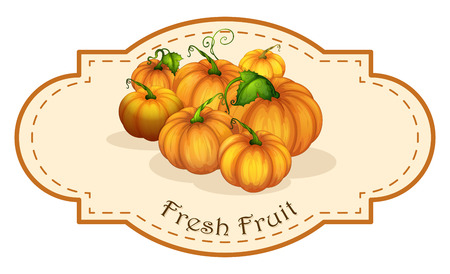 Illustration of a fresh fruit label with squash on a white backgroundのイラスト素材