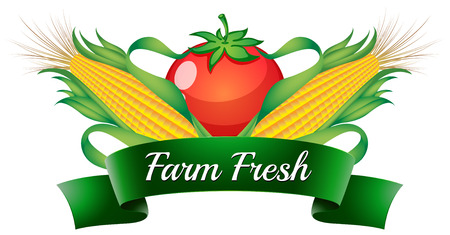 Illustration of a farm fresh label with sweetcorns and a tomato on a white backgroundのイラスト素材