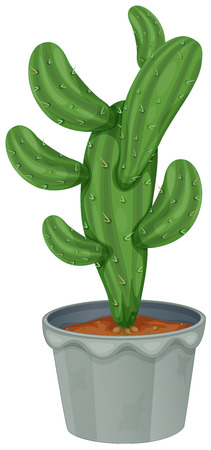 Illustration of a cactus plant on a white backgroundのイラスト素材
