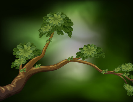 Illustration of a branch of a treeのイラスト素材
