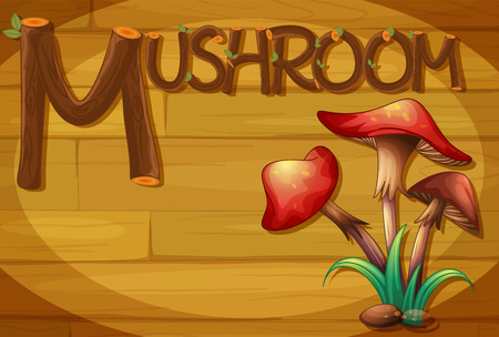 Illustration of a wooden frame with a mushroomのイラスト素材