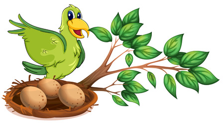 Illustration of a green bird at the branch of a tree on a white backgroundのイラスト素材