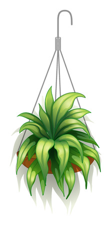 Illustration of a hanging pot with green plants on a white backgroundのイラスト素材