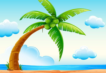 Illustration of a coconut tree on the beachのイラスト素材