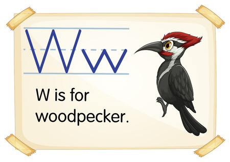 Illustration of a flashcard with letter Wのイラスト素材