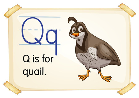 Illustration of a flashcard with letter Qのイラスト素材