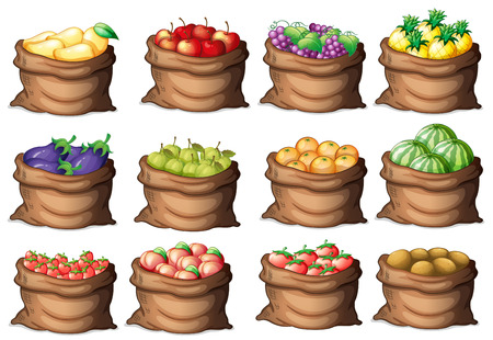 Illustration of the sacks with different fruits on a white backgroundのイラスト素材