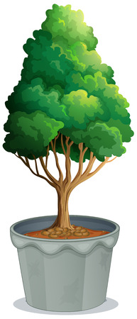 Illustration of a closeup potted plantのイラスト素材