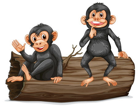 Illustration of two chimps on a logのイラスト素材