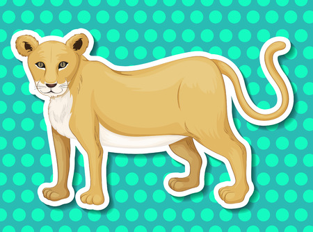 illustration of a close up lionessのイラスト素材