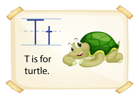 A letter T for turtle on a white backgroundのイラスト素材