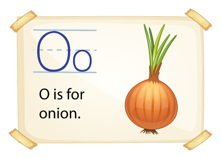 A letter O for onion on a white backgroundのイラスト素材