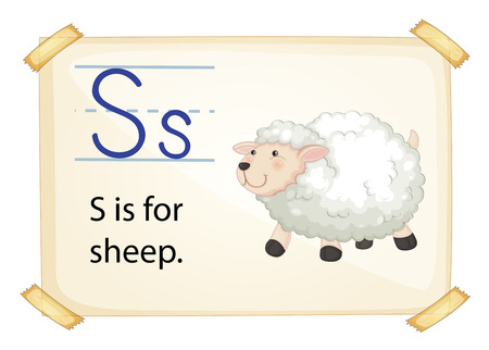 A letter S for sheep on a white backgroundのイラスト素材