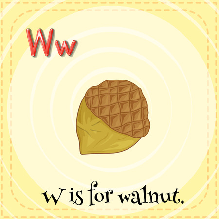 A letter W which stands for walnutのイラスト素材