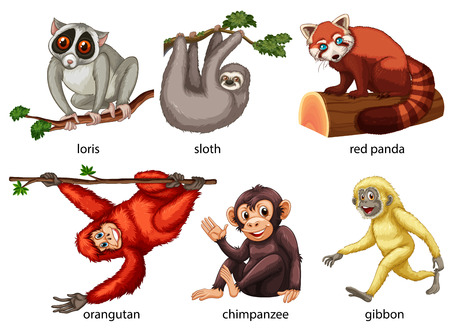 Illustration of different kind of animalsのイラスト素材