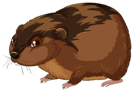 A big mouse on a white backgroundのイラスト素材